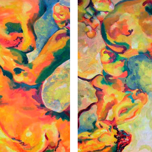 Covers