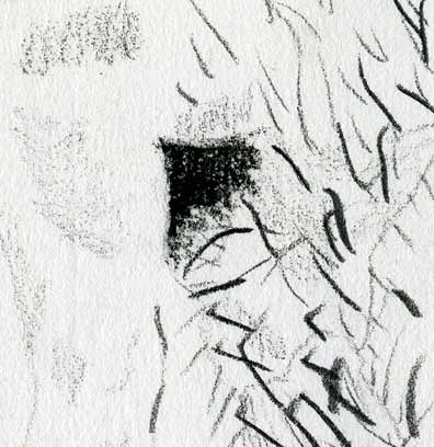 Dessins