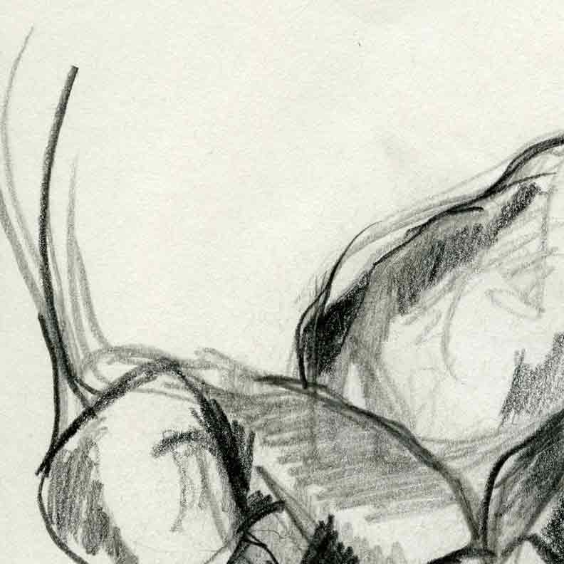 Dessins