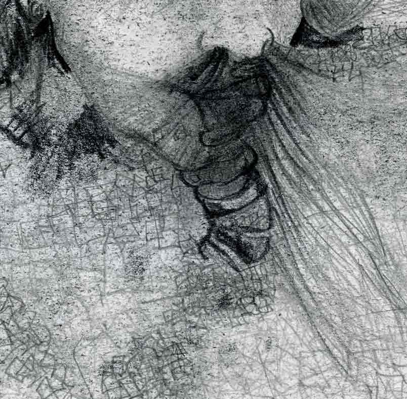 Dessins