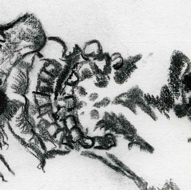 Dessins