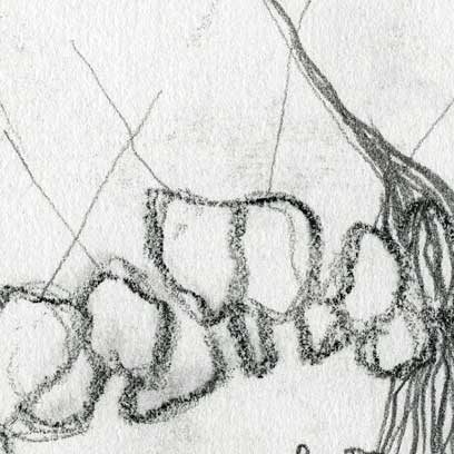 Dessins