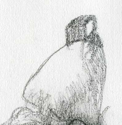 Dessins