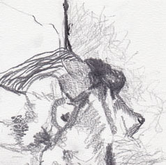 Dessins